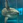 FflBdK7jOu7791