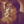 naoya.mashiko