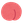 iwamomomo