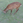 onnoboru