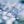 pan04