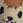 jooo