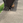 isshin