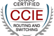 CCIE8冠が語る！ネットワーク業界のトレンドと市場価値！