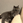 たに