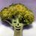 kmrsng