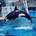 myis_0501