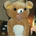 yoshikazzz