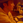 Yasuhiro Nishioka