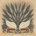 kuogata
