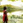 honjojo