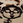 kazutarosu