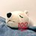 __foxbox