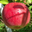 sagara-221