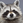 tanukiman_you