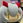 いるく