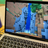 Minecraftカップ2022に一緒に参加しませんか？＠みのお