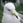 うみねこ
