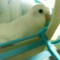 Yuunan_5581