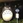 msw_milk