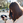o.tomo