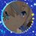 MayI_maxchase15