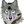 わんこ