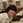 Shintaro_tkgc