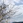 Blue_range2783