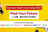 Summer Short Internship 2023