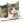 okzkey