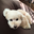 kfb_1031