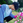 hirosi1900day